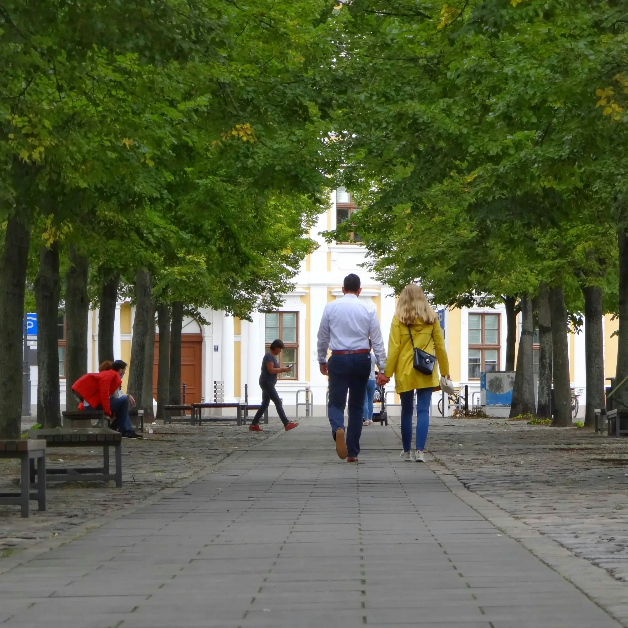 Stadtteil Cracau in Magdeburg: Wohngebiet östlich der Elbe