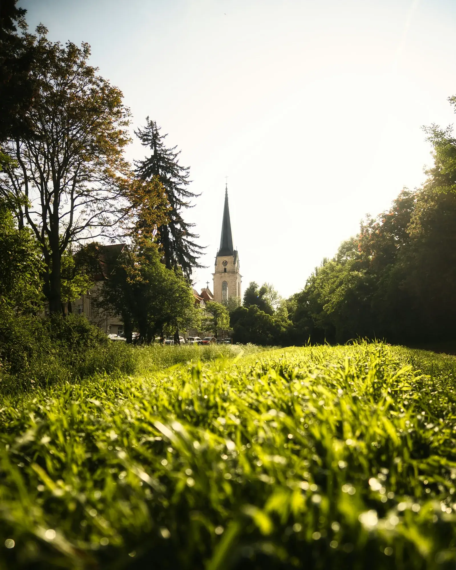 Magdeburg Herrenkrug – Elbe und Herrenkrugpark
