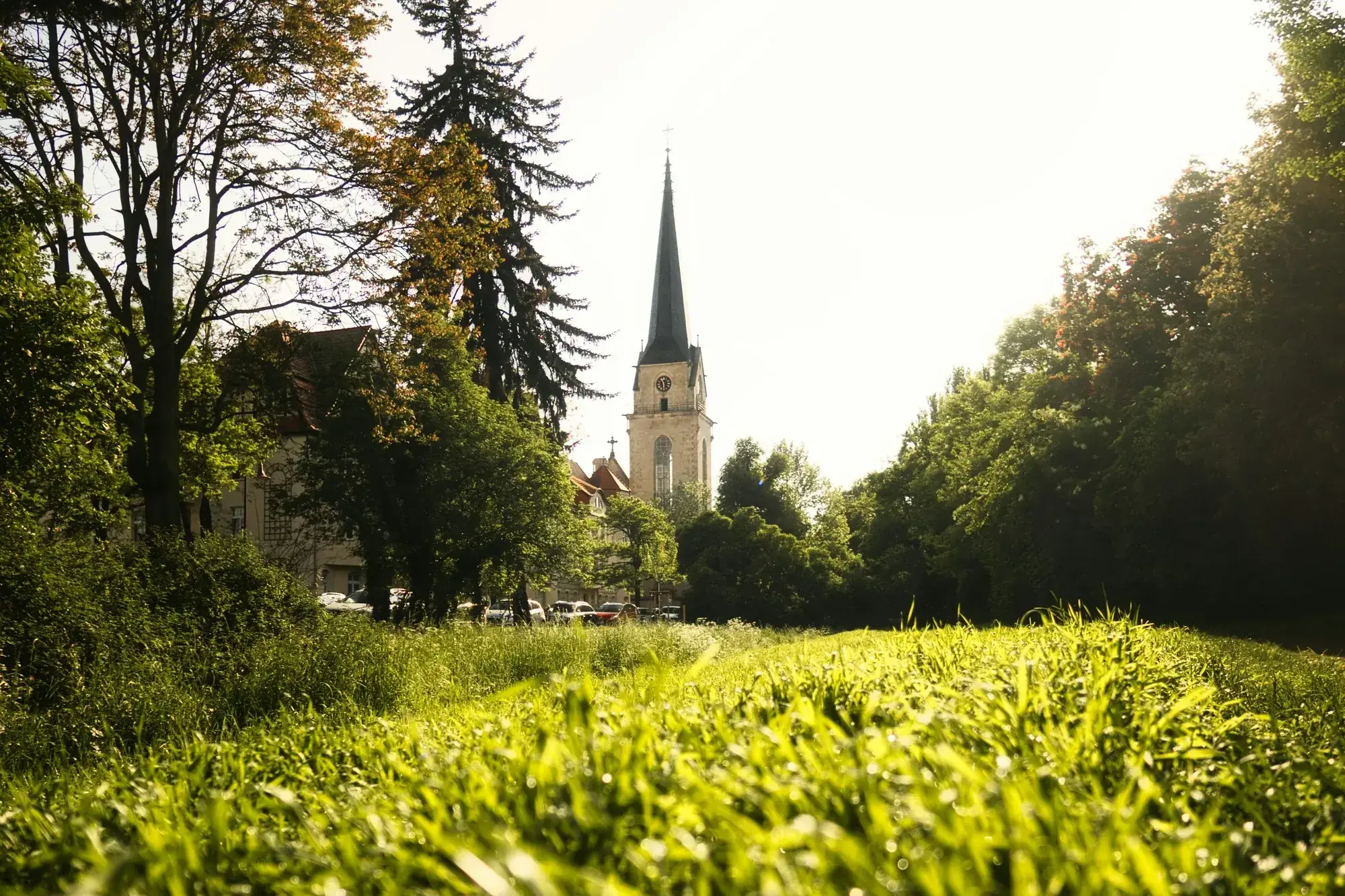Stadtfeld West in Magdeburg: grünes Wohnviertel mit Altbaubestand