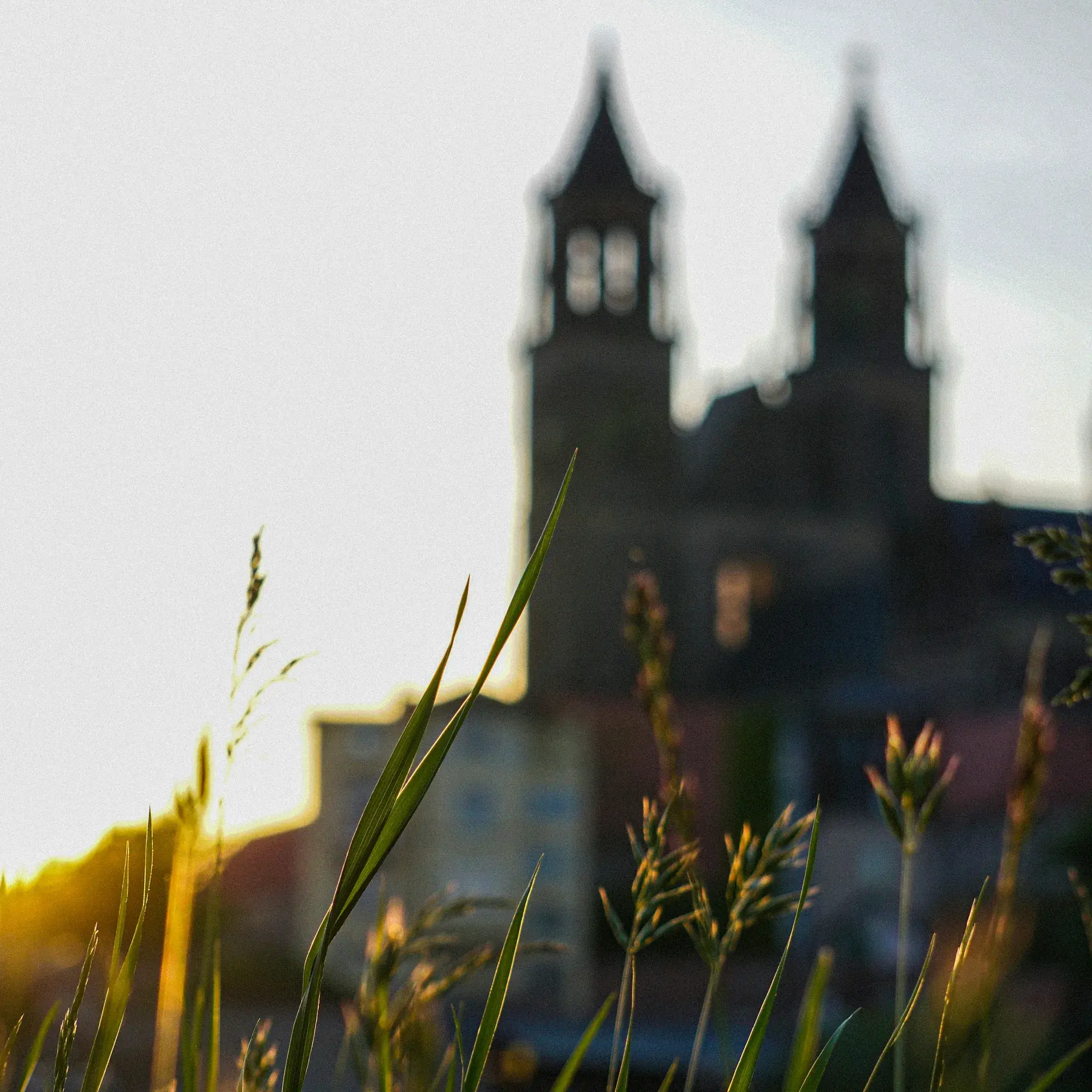 Magdeburg Sudenburg – Gründerzeit und Klosterbergegarten